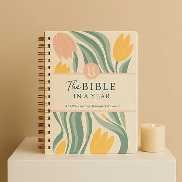Study The Bible In A Year: A 52-Week Journey Through God's Word